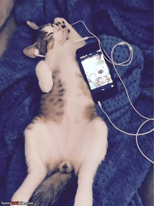 Listening To The Music