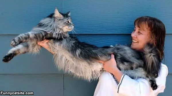 Long And Fluffy