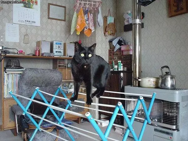 Balance
