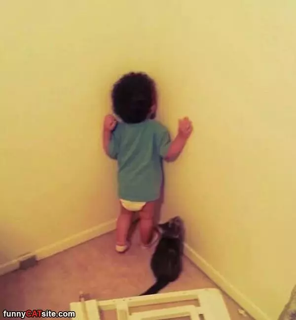 Kitty Joining Timeout