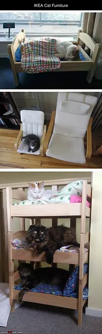 Ikea Cat Furniture