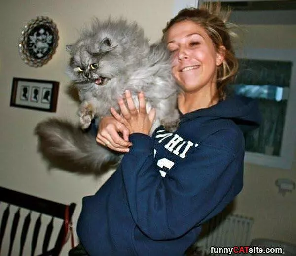 Meoooooow