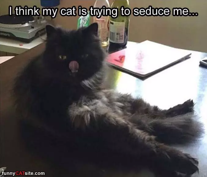 Trying To Seduce Me