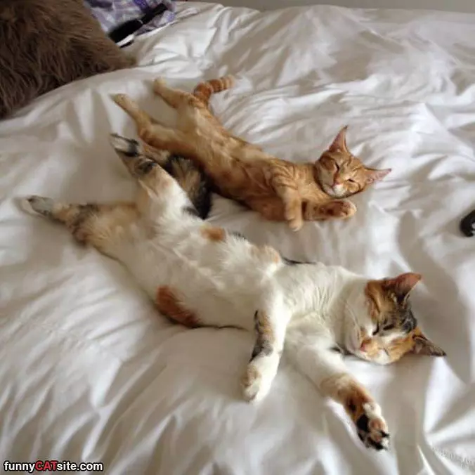Just Learning How To Relax