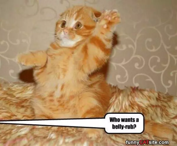 I Wants One