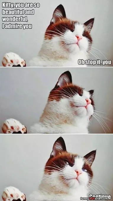 Oh Stop It