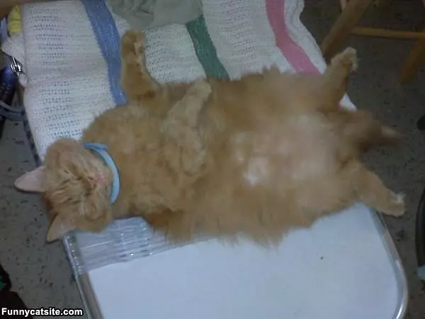 Taking A Serious Nap