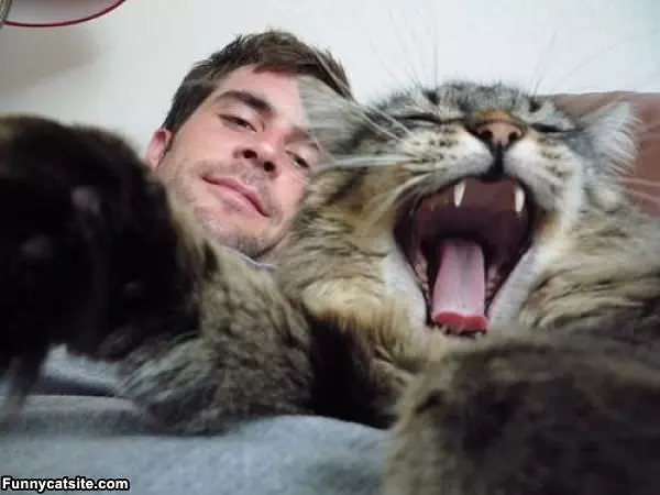 Huge Yawn