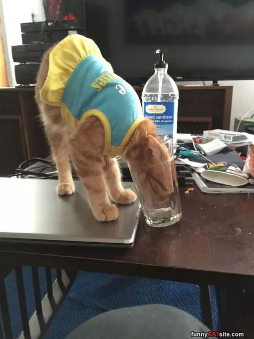 Getting Me A Sip