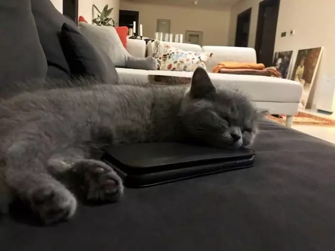 Good Place To Sit