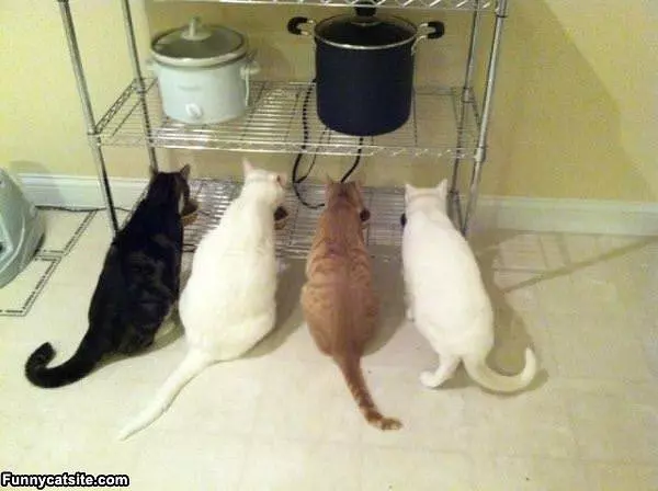 Eating In A Row