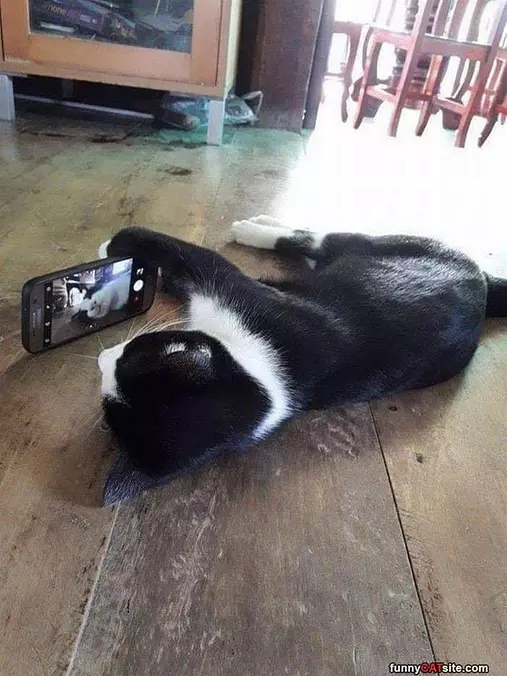 Face Timing
