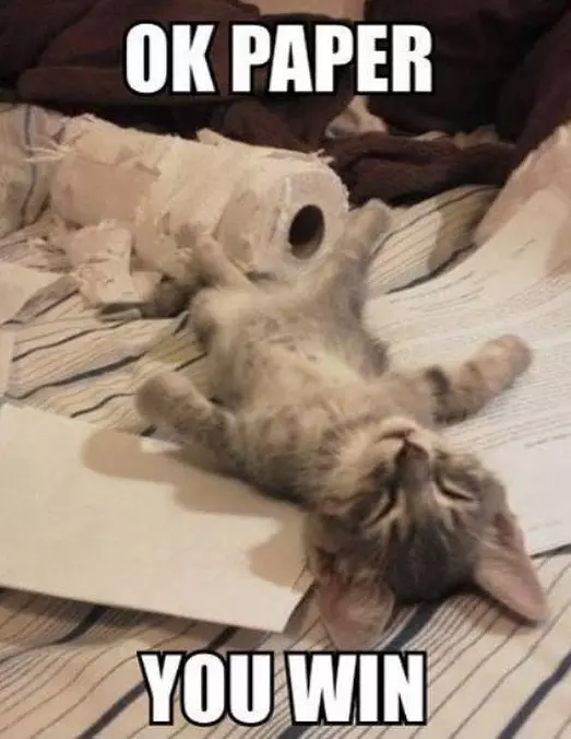 You Win This Round Paper