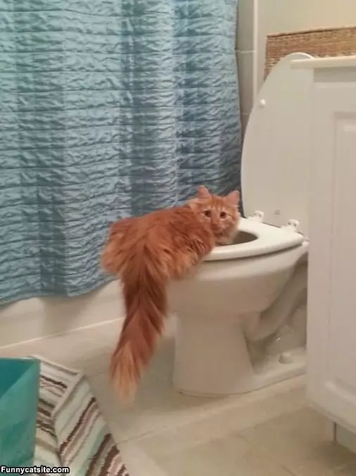Getting Me A Drink