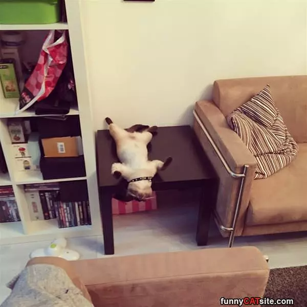 Laying Around Like This