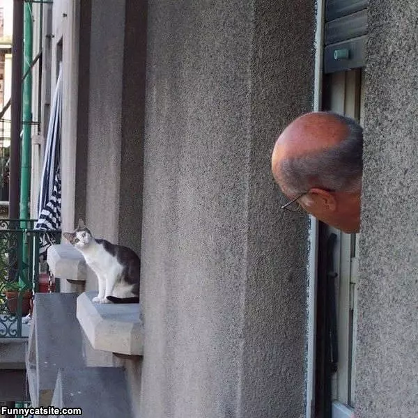 What Did You Just Say