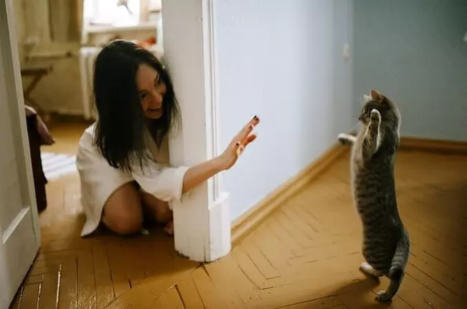 How About A High 5