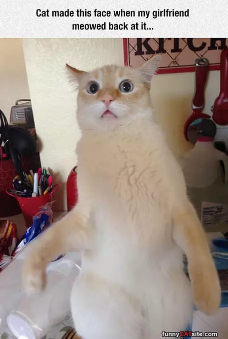 What Did You Say To Me