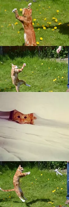 I Love Play Time