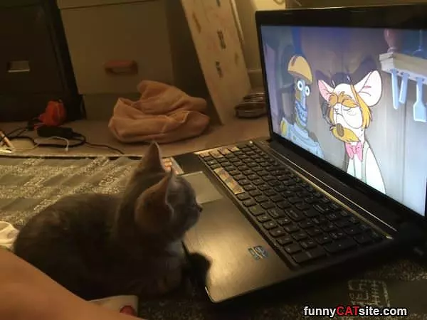 This Is My Favorite Cartoon