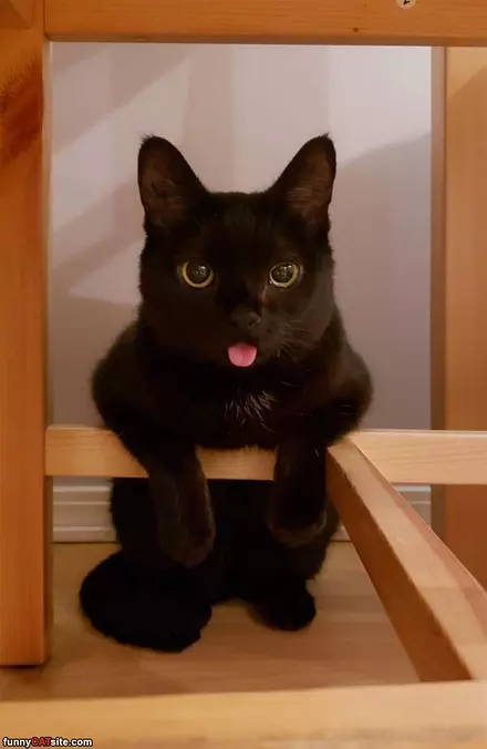 Hey Guys