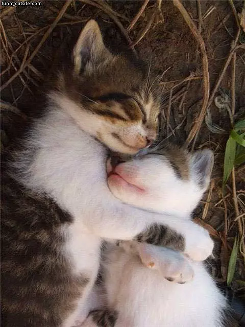 Sleeping Together