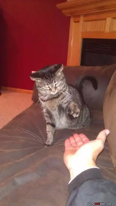 Give Me Five