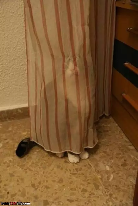 Hiding