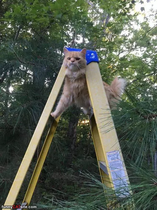 Help Me Please I Am Stuck