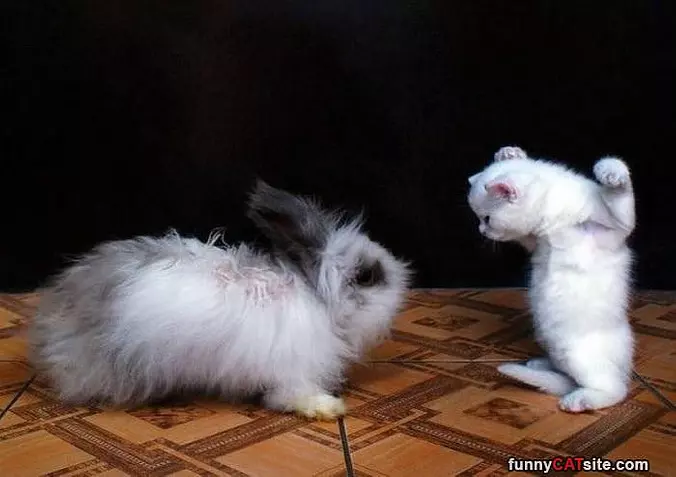 You Back Off Now