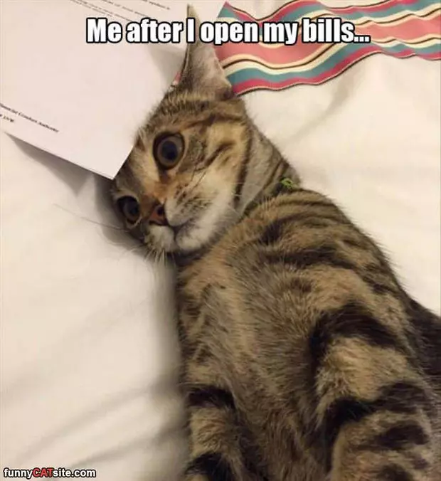 Opened My Bills