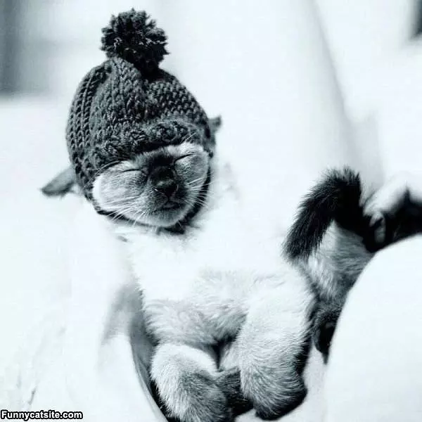 My Sleeping Hat