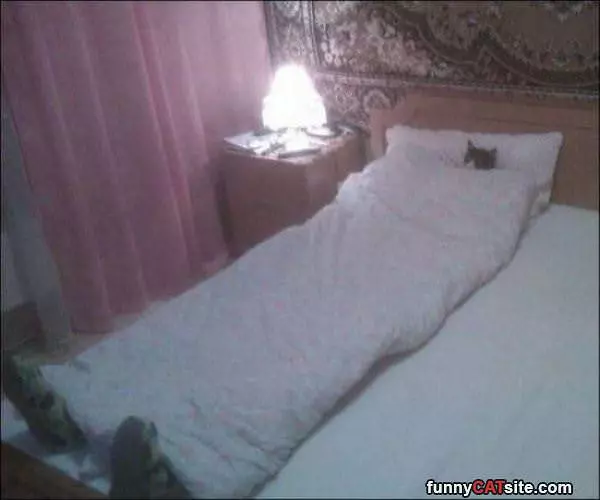 All Tucked In Here