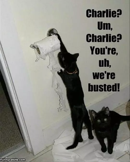 So Busted