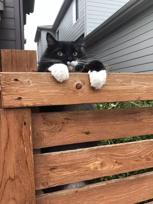 Just Checking Things Out