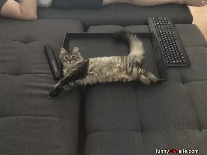 Fluffy Place