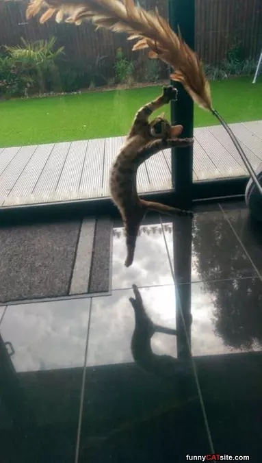 I Am A High Jumper
