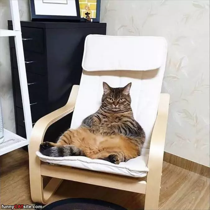 Chillin In The Chair