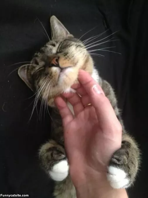 Itchy Itchy