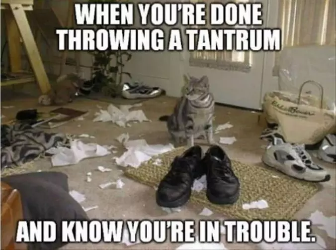 Done Throwing A Tantrum