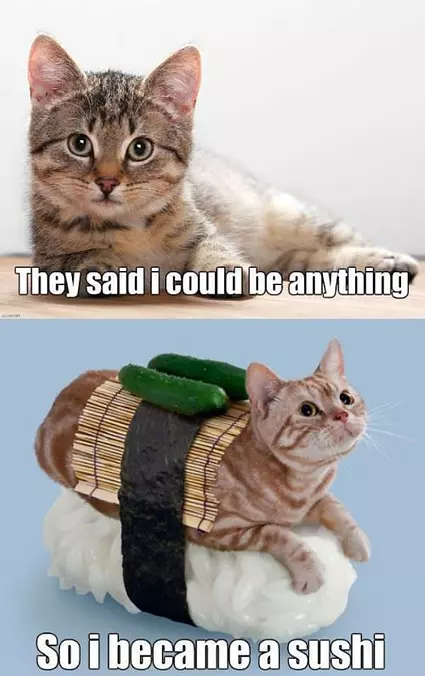 I Could Be Anything