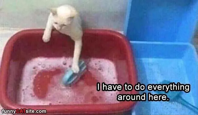 I Have To Do Everything Around Here