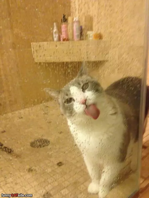 This Tastes Nice