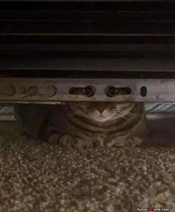 Peaking Out At You