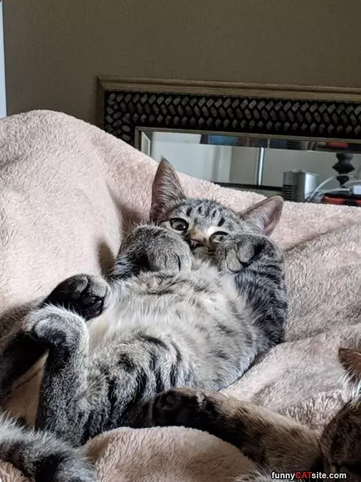 Relaxed