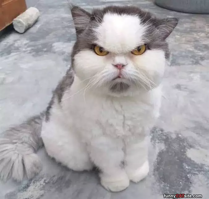Grrr