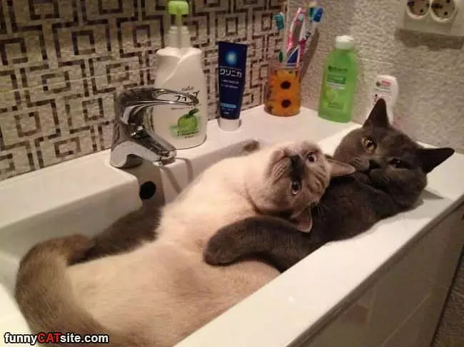 Sinking Together