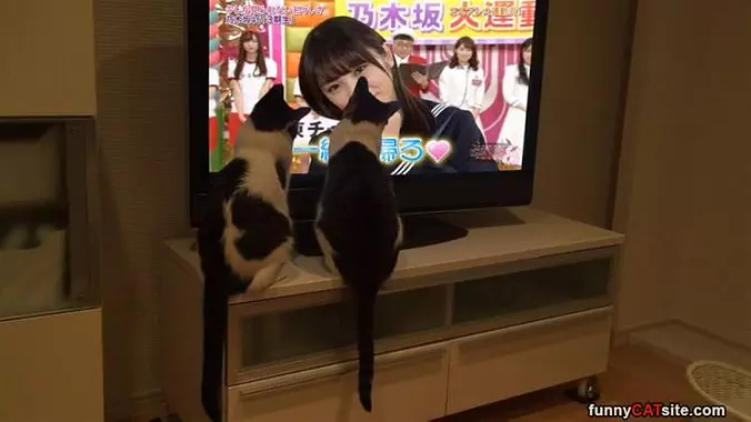 Watching Some Tv