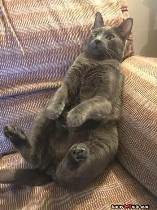 Arghhhhh