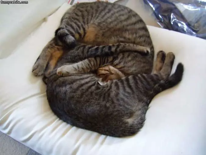 Sleep How We Want